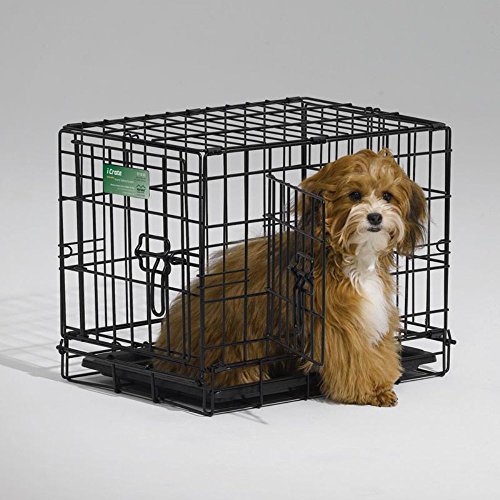 Tucker Murphy Pet Marchese Pet Crate K9 Crates