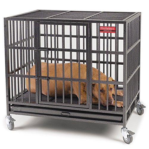 proselect empire crate proselect empire cage k9 crates proselect empire crate proselect empire cage k9 crates