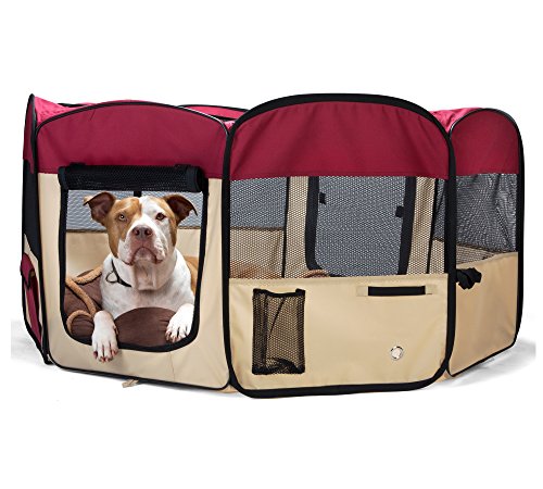 Can Dogs Escape Indoor Play Pen Can Dogs Escape Indoor Play Pen